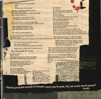 Rise Against - Appeal To Reason-8