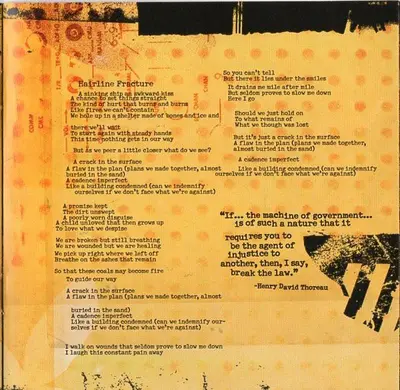 Rise Against - Appeal To Reason-12