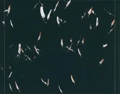 The Stills - Logic Will Break Your Heart-6