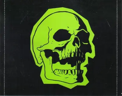 Sum 41 - Does This Look Infected?-7