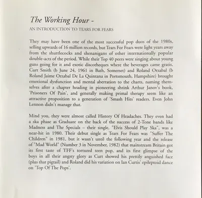 Tears For Fears - The Working Hour (An Introduction To Tears For Fears)-4