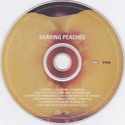 Terrorvision - Shaving Peaches-2