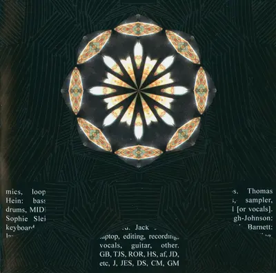 These New Puritans - Beat Pyramid-9