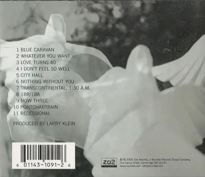 Vienna Teng - Dreaming Through The Noise-1