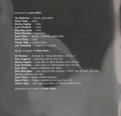 Vienna Teng - Dreaming Through The Noise-3