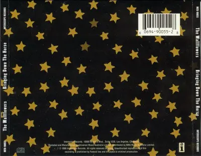 The Wallflowers - Bringing Down The Horse