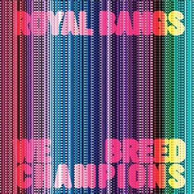 Royal Bangs - We Breed Champions