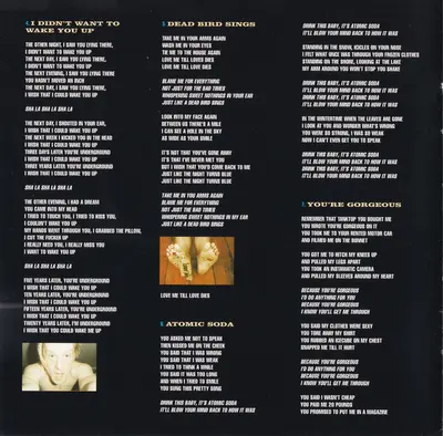 Babybird - Ugly Beautiful-7