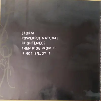 Vanessa-Mae - Storm-3