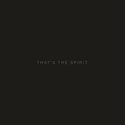 Bring Me The Horizon - That's The Spirit