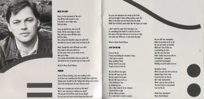 David Gilmour - About Face-7