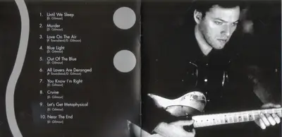 David Gilmour - About Face-6