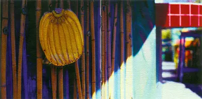 Kirsty MacColl - Tropical Brainstorm-8
