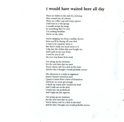 Lambchop - Damaged-11