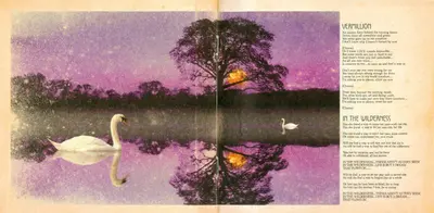 Mercury Rev - The Secret Migration-7