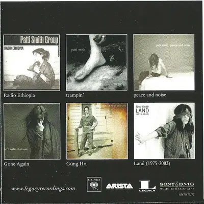 Patti Smith - Twelve-22