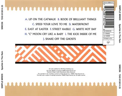 Simple Minds - Sparkle In The Rain-1