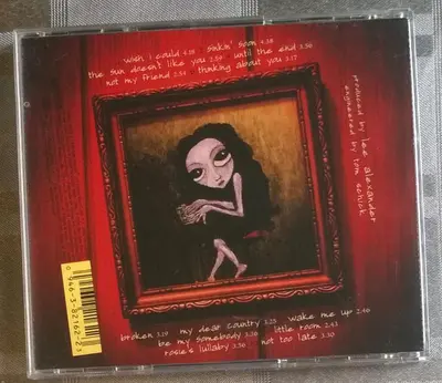 Norah Jones - Not Too Late-5