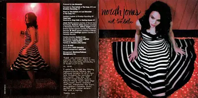 Norah Jones - Not Too Late-2