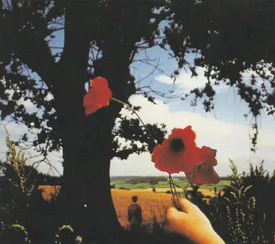 Pink Floyd - The Final Cut-16