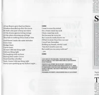 Taylor Swift - Reputation-21