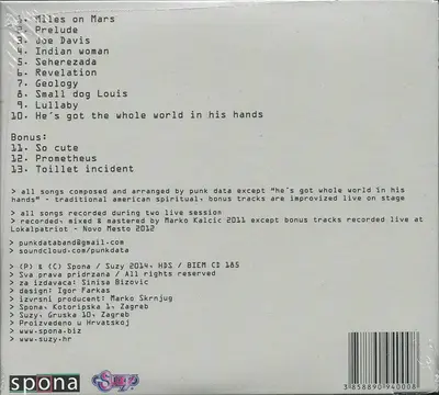 Punk Data - Did We Land On A Tune?-1
