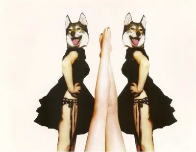 Goldfrapp - Black Cherry-6