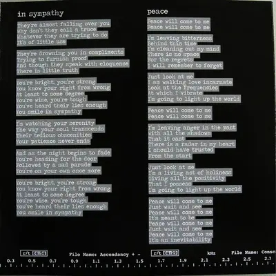 Depeche Mode - Sounds Of The Universe-10