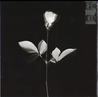 Depeche Mode - Violator-4