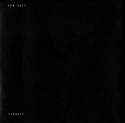 Tord Gustavsen Trio - Being There-15