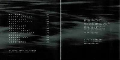 Tord Gustavsen Trio - Being There-11