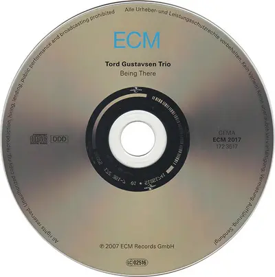 Tord Gustavsen Trio - Being There-4
