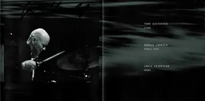 Tord Gustavsen Trio - Being There-9