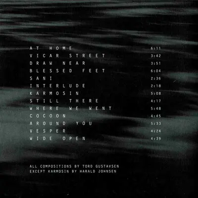 Tord Gustavsen Trio - Being There-12