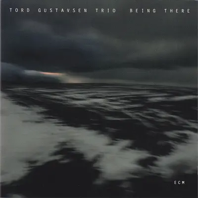 Tord Gustavsen Trio - Being There-2