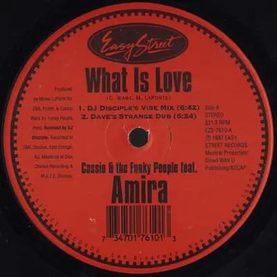 Cassio Ware & Funky People Feat. Amira - What Is Love