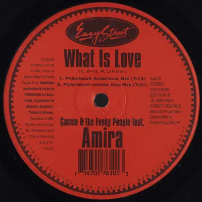 Cassio Ware & Funky People Feat. Amira - What Is Love-1