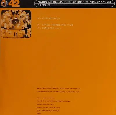 Mario De Bellis Presents: Amedeo Feat. Miss Unknown - I Like It-1