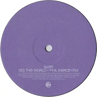 Slam Featuring Tyrone Palmer - This World