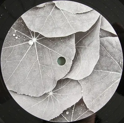 Technasia - Evergreen