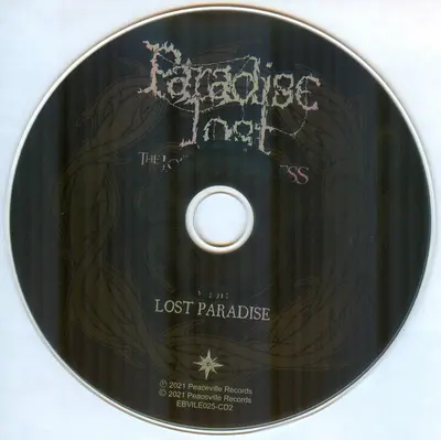 Paradise Lost - The Lost And The Painless-4