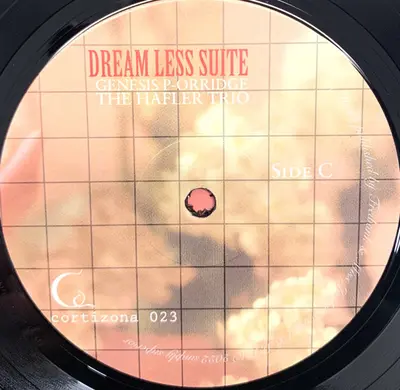 Genesis P-Orridge & The Hafler Trio - Dream Less Suite-7