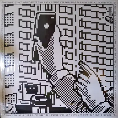 Gruff Rhys - (Don't) Welcome The Plague As A Blessing / The Babelsberg Basement Files-1