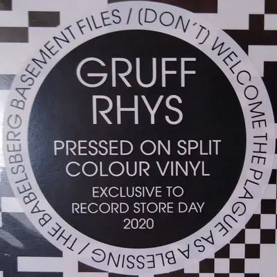 Gruff Rhys - (Don't) Welcome The Plague As A Blessing / The Babelsberg Basement Files-5