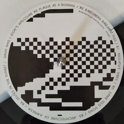 Gruff Rhys - (Don't) Welcome The Plague As A Blessing / The Babelsberg Basement Files-3