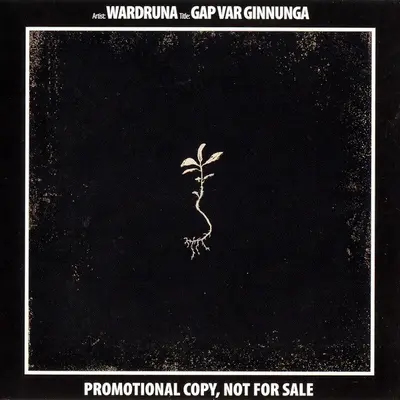 Wardruna - Gap Var Ginnunga