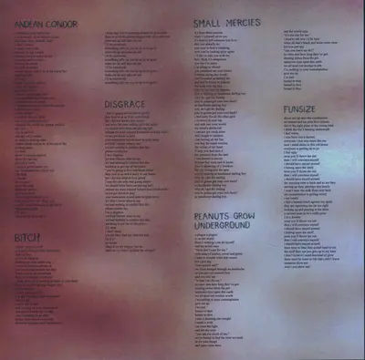 Pixx (2) - Small Mercies-5