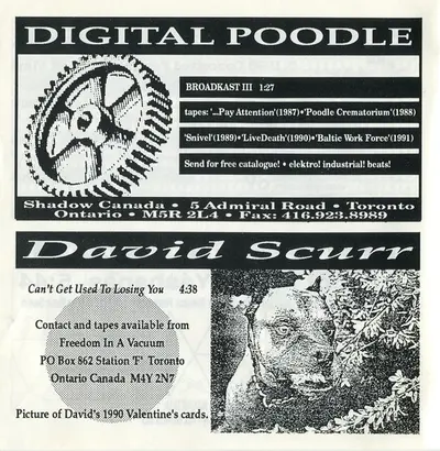Various - Death Of Vinyl-12