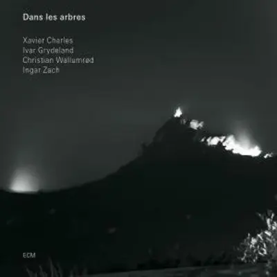 XAVIER CHARLES, IVAR GRYDELAND - Dans Les Arbres CD