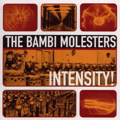 BAMBI MOLESTERS - Intensity! LP